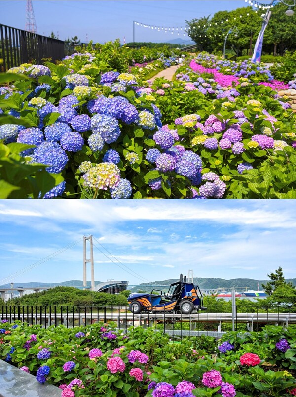 Distrik Namgu di Kota Ulsan akan menggelar Festival Hydrangea Jangsaengpo Kelima dan meluncurkan Whale Kart.